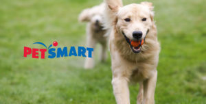 petsmart store investment bankers